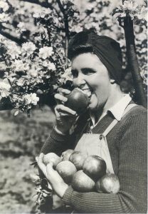 Photo of Katharine eating an apple published in the weekly magazine The Illustrated in 1942.