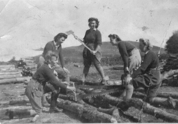 Lumber Jills at Vaynol Estate