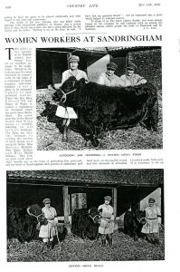 Feature on Sandringham Land Girls in Country Life on 11th January 1916