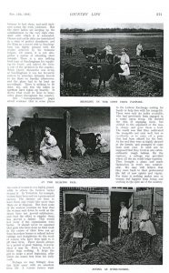 Feature on Sandringham Land Girls in Country Life on 11th January 1916 2