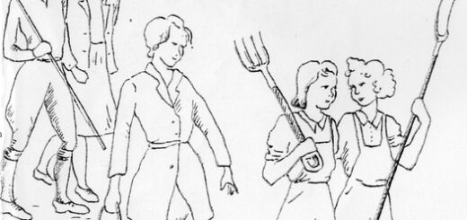 Land Girl drawings by a Buckinghamshire Land Girl