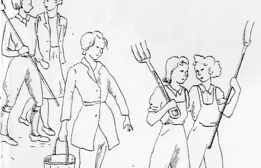 Land Girl drawings by a Buckinghamshire Land Girl