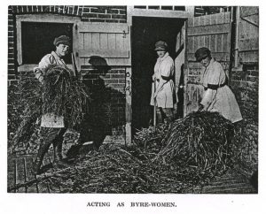 Land Girls on the Sandringham Estate at the cowshed