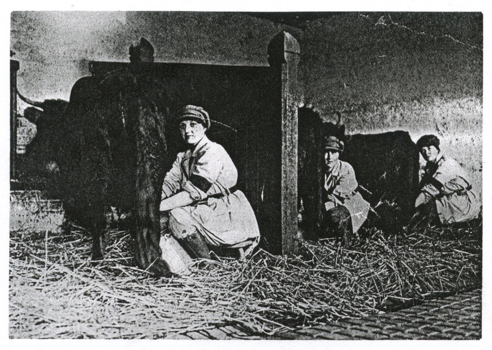 Land Girls on the Sandringham Estate at the milking pail