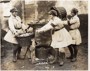 Turnip chopping at Sandringham