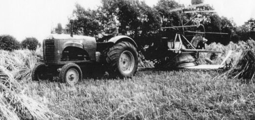 Emma Chapman working reaper-binder at Walnut Farm, Newport Pagnell, August 1941