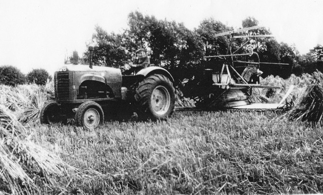 Emma Chapman working reaper-binder at Walnut Farm, Newport Pagnell, August 1941