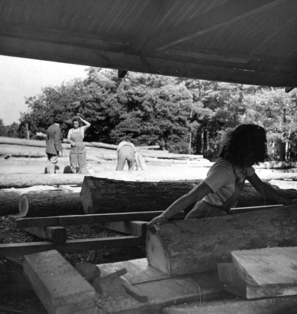 Doreen pushing a log through the saw.