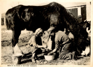 Army First Aid on the farm