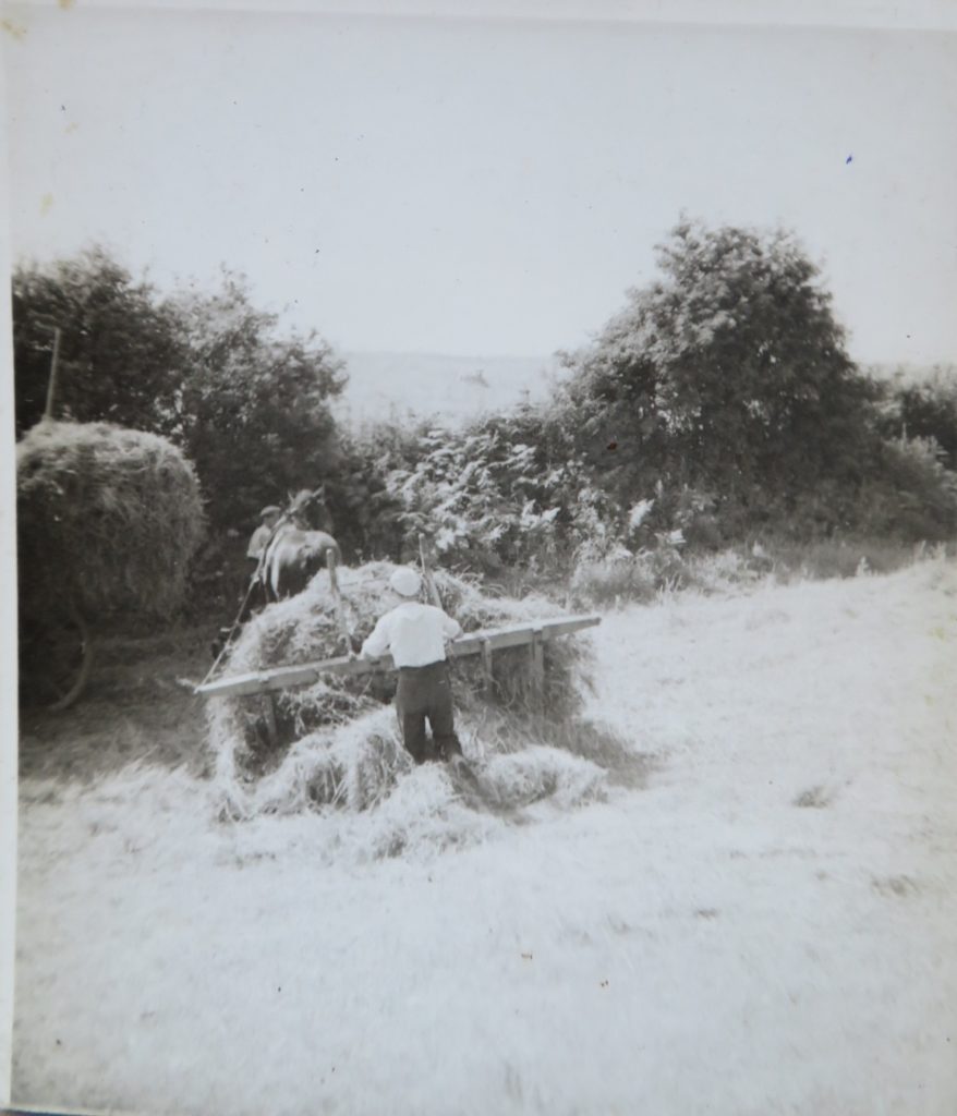 Wykeham Grange Farm,(Date?) Hay time, Land Army. 