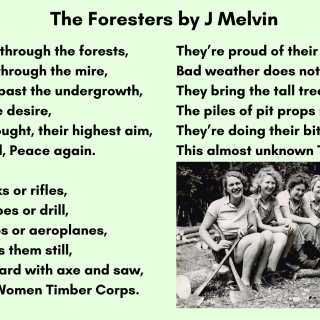 The-Foresters