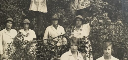 First-World-War-Land-Girls-picking-apples