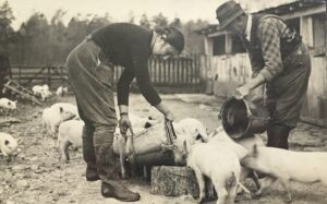 Land-Girl-feeding-pigs