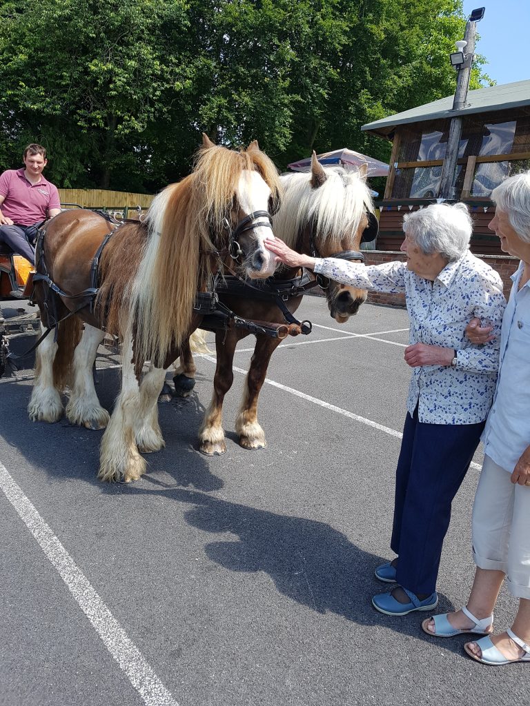 2021: Joan on her 101st birthday voluntary work. She stopped at the beginning following a horse and cart ride